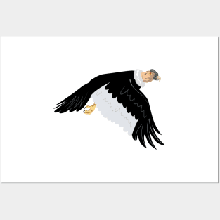 Andean Condor in Flight Retro Posters and Art